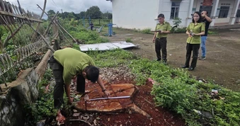 Thông tin mới vụ hàng loạt cây xanh bị cưa hạ tại trụ sở xã ở Gia Lai