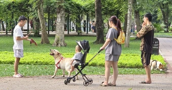 Thông tin quan trọng liên quan đến toàn bộ người nuôi động vật, thú cưng từ 1/8