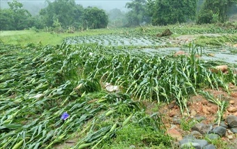 Thủ tướng chỉ thị tăng cường công tác phòng, chống thiên tai