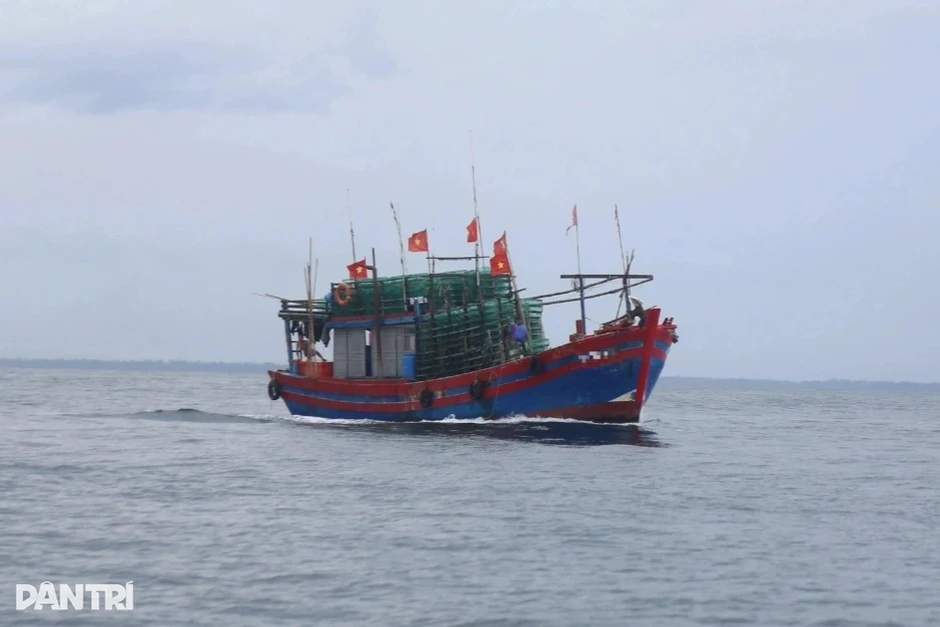 Tìm kiếm thuyền viên tàu cá mất tích trên vùng biển Quảng Trị Tìm kiếm thuyền viên tàu cá mất tích trên vùng biển Quảng Trị