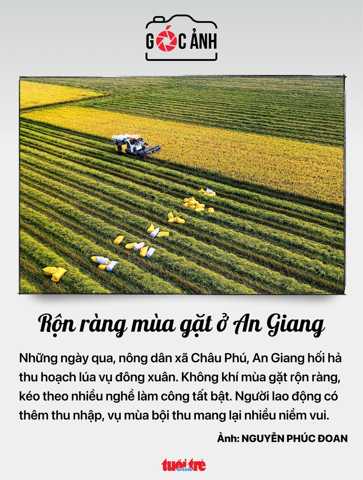 Tin tức 29-3: Việt Nam lần đầu công nhận kỹ thuật hồi sinh tim phổi sử dụng tuần hoàn ngoài cơ thể Tin tức 29-3: Việt Nam lần đầu công nhận kỹ thuật hồi sinh tim phổi sử dụng tuần hoàn ngoài cơ thể