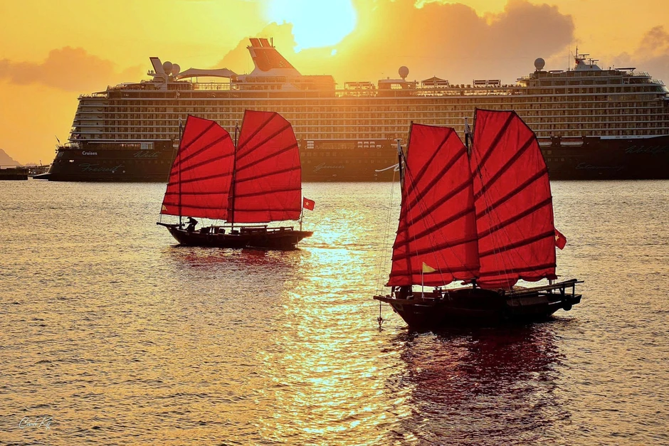 Tin vui: Chỉ còn 3 ngày nữa, toàn bộ người dân Việt Nam được miễn phí tour du lịch này Tin vui: Chỉ còn 3 ngày nữa, toàn bộ người dân Việt Nam được miễn phí tour du lịch này