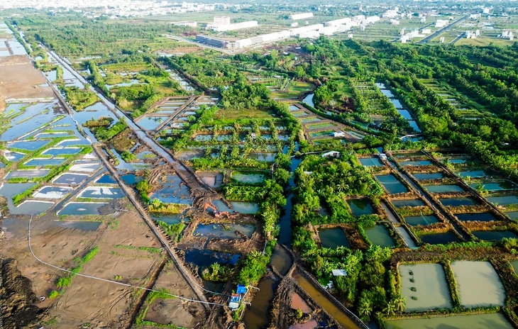 Tỉnh Cà Mau yêu cầu khắc phục việc nhiễm mặn dẫn đến cá chết quanh dự án mở rộng sân bay Tỉnh Cà Mau yêu cầu khắc phục việc nhiễm mặn dẫn đến cá chết quanh dự án mở rộng sân bay