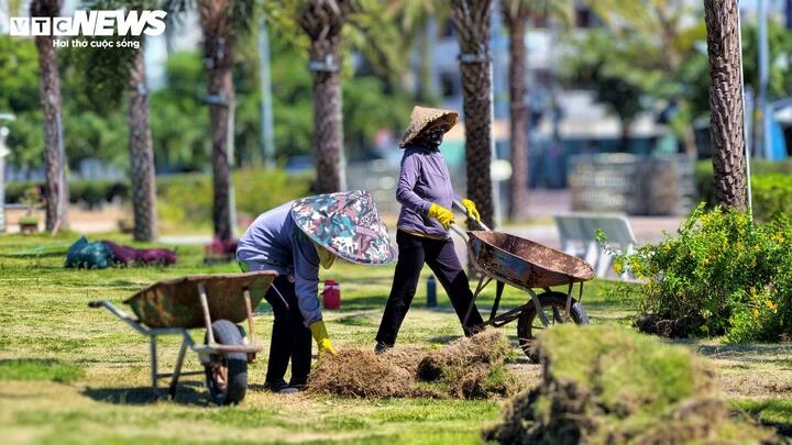 Toàn cảnh bến thuyền du lịch nối phố biển Quy Nhơn với đảo Cù Lao Xanh