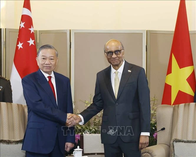 Tổng Bí thư, Chủ tịch nước Tô Lâm hội đàm với Tổng thống Singapore Tharman Shanmugaratnam Tổng Bí thư, Chủ tịch nước Tô Lâm hội đàm với Tổng thống Singapore Tharman Shanmugaratnam
