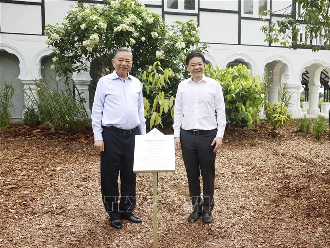 Tổng Bí thư, Chủ tịch nước Tô Lâm và Thủ tướng Lawrence Wong trồng cây tại Vườn Bách thảo Singapore Tổng Bí thư, Chủ tịch nước Tô Lâm và Thủ tướng Lawrence Wong trồng cây tại Vườn Bách thảo Singapore