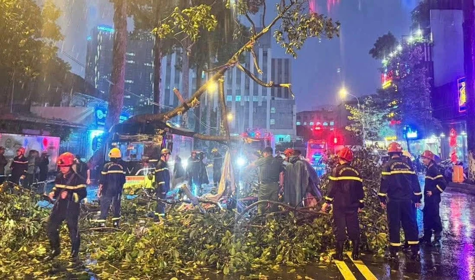 TPHCM: Cây lớn bất ngờ đổ ập xuống xe buýt và xe máy, một người đàn ông tử vong TPHCM: Cây lớn bất ngờ đổ ập xuống xe buýt và xe máy, một người đàn ông tử vong