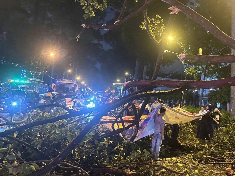 TPHCM: Cây lớn bất ngờ đổ ập xuống xe buýt và xe máy, một người đàn ông tử vong TPHCM: Cây lớn bất ngờ đổ ập xuống xe buýt và xe máy, một người đàn ông tử vong