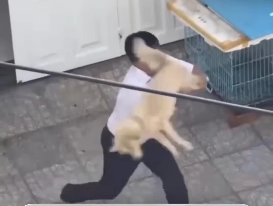 TPHCM: Clip người đàn ông đánh shipper vì từ chối cắt lông chó gây phẫn nộ TPHCM: Clip người đàn ông đánh shipper vì từ chối cắt lông chó gây phẫn nộ