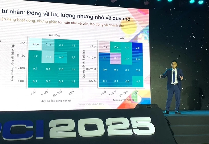 TP.HCM dẫn đầu về hiệu quả kinh tế tư nhân TP.HCM dẫn đầu về hiệu quả kinh tế tư nhân