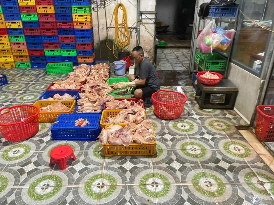 TP.HCM: 'Đột kích' lò giết mổ không phép lúc rạng sáng, buộc tiêu hủy gần 1 tấn gà TP.HCM: 'Đột kích' lò giết mổ không phép lúc rạng sáng, buộc tiêu hủy gần 1 tấn gà