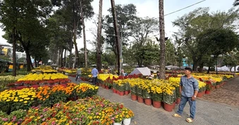 TPHCM: Khẩn trương rà soát quỹ đất phát triển công viên, cây xanh