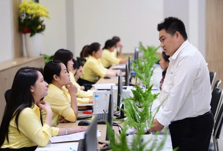 TP.HCM lên kế hoạch đào tạo cán bộ theo vị trí việc làm TP.HCM lên kế hoạch đào tạo cán bộ theo vị trí việc làm