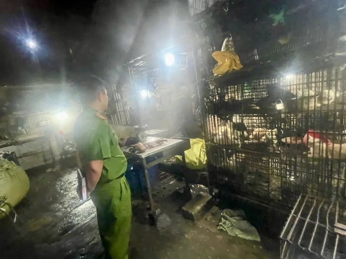 TPHCM: "Đột kích" 2 lò giết mổ chó, mèo trong khu dân cư TPHCM: "Đột kích" 2 lò giết mổ chó, mèo trong khu dân cư
