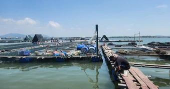 TP.HCM rà soát bè nổi, siết quản lý nuôi lồng bè ở xã Long Sơn