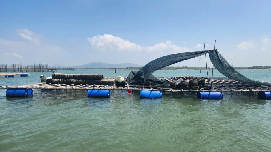 TP.HCM rà soát bè nổi, siết quản lý nuôi lồng bè ở xã Long Sơn TP.HCM rà soát bè nổi, siết quản lý nuôi lồng bè ở xã Long Sơn