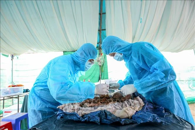 Trọn nghĩa tri ân trên hành trình tìm kiếm, xác định danh tính liệt sĩ Trọn nghĩa tri ân trên hành trình tìm kiếm, xác định danh tính liệt sĩ