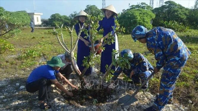Trường Sa - sức sống nơi tiền tiêu Tổ quốc - Bài 2: Những mầm xanh giữa trùng khơi Trường Sa - sức sống nơi tiền tiêu Tổ quốc - Bài 2: Những mầm xanh giữa trùng khơi