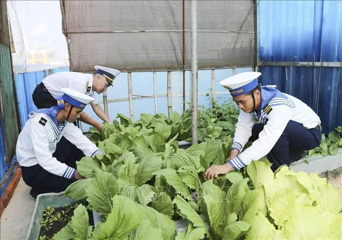 Trường Sa - sức sống nơi tiền tiêu Tổ quốc - Bài 2: Những mầm xanh giữa trùng khơi Trường Sa - sức sống nơi tiền tiêu Tổ quốc - Bài 2: Những mầm xanh giữa trùng khơi