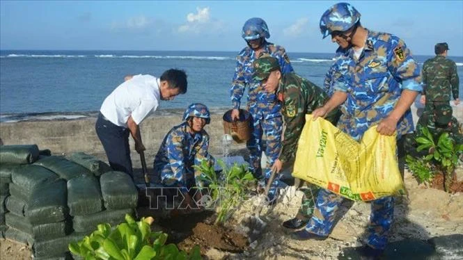Trường Sa - sức sống nơi tiền tiêu Tổ quốc - Bài 2: Những mầm xanh giữa trùng khơi Trường Sa - sức sống nơi tiền tiêu Tổ quốc - Bài 2: Những mầm xanh giữa trùng khơi