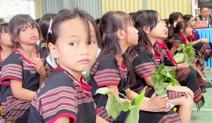 Trường trao thưởng bằng sâm Ngọc Linh: Ý nghĩa nhưng trồng ở đâu, chăm sóc sao? Trường trao thưởng bằng sâm Ngọc Linh: Ý nghĩa nhưng trồng ở đâu, chăm sóc sao?