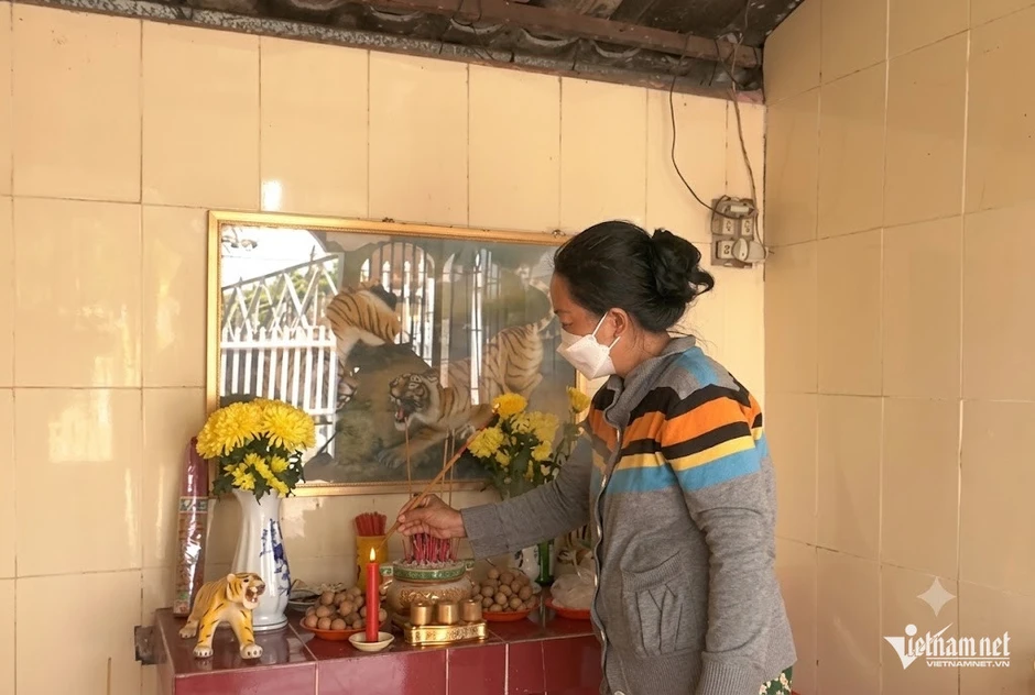 Từ ác thú đến thần bảo hộ: Hành trình kỳ lạ của hổ trong tín ngưỡng Việt Từ ác thú đến thần bảo hộ: Hành trình kỳ lạ của hổ trong tín ngưỡng Việt
