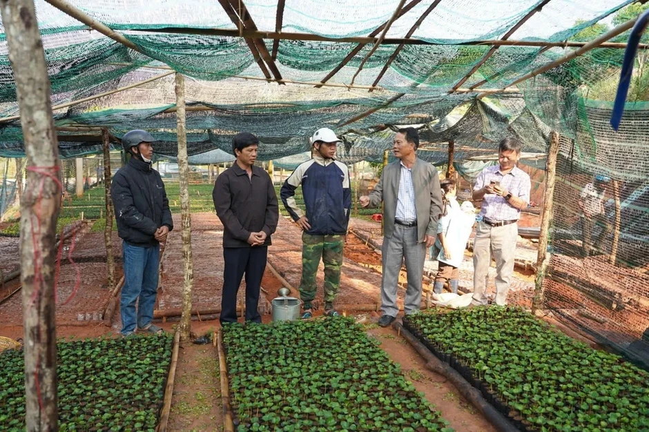 Từ 'Đại hội không hoa' đến triệu cây cà phê: Cách làm mới ở xã vùng cao Tu Mơ Rông Từ 'Đại hội không hoa' đến triệu cây cà phê: Cách làm mới ở xã vùng cao Tu Mơ Rông