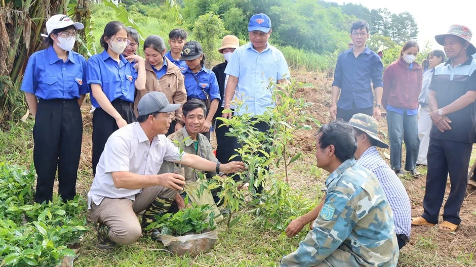 Từ 'Đại hội không hoa' đến triệu cây cà phê: Cách làm mới ở xã vùng cao Tu Mơ Rông Từ 'Đại hội không hoa' đến triệu cây cà phê: Cách làm mới ở xã vùng cao Tu Mơ Rông