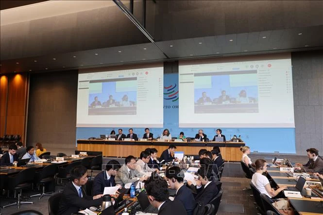 Việt Nam giữ vai trò Người thảo luận tại phiên họp Rà soát Chính sách Thương mại WTO Việt Nam giữ vai trò Người thảo luận tại phiên họp Rà soát Chính sách Thương mại WTO