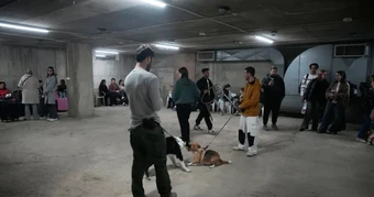 Việt Nam khuyến cáo khẩn cộng đồng người Việt tại Israel