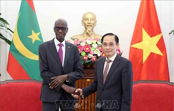 Việt Nam luôn trân trọng quan hệ hữu nghị, truyền thống với các quốc gia châu Phi