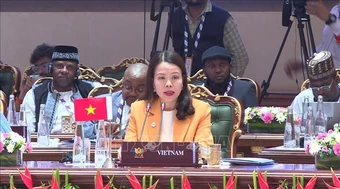 Việt Nam sẵn sàng thúc đẩy kết nối BRICS với khu vực châu Á - Thái Bình Dương