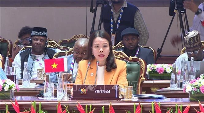 Việt Nam sẵn sàng thúc đẩy kết nối BRICS với khu vực châu Á - Thái Bình Dương