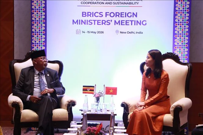 Việt Nam sẵn sàng thúc đẩy kết nối BRICS với khu vực châu Á - Thái Bình Dương