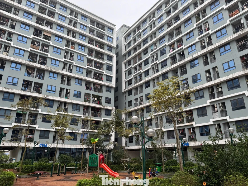 Vợ chồng có thu nhập dưới 50 triệu đồng được mua nhà ở xã hội năm 2026 Vợ chồng có thu nhập dưới 50 triệu đồng được mua nhà ở xã hội năm 2026