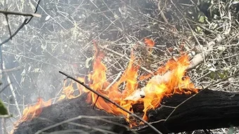 Vợ chồng thiệt mạng sau đám cháy rừng
