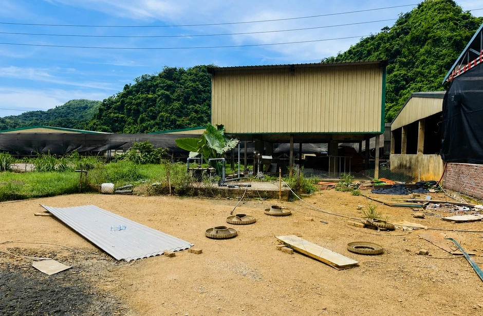 Vụ 5 người tử vong ở Thanh Hóa: Kiểm tra toàn diện trang trại lợn Vụ 5 người tử vong ở Thanh Hóa: Kiểm tra toàn diện trang trại lợn