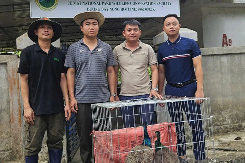 Vụ mất ăn mất ngủ vì nhặt được 2 con chim lạ: Không có người nhận Vụ mất ăn mất ngủ vì nhặt được 2 con chim lạ: Không có người nhận