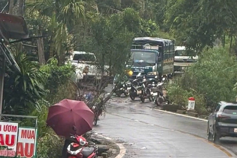 Vụ nữ nhân viên thư viện tử vong: Nghi phạm là giáo viên thể dục Vụ nữ nhân viên thư viện tử vong: Nghi phạm là giáo viên thể dục