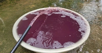 Vụ nước giếng khoan đổi màu tím: Do nhân viên công ty giặt ngủ quên (?)