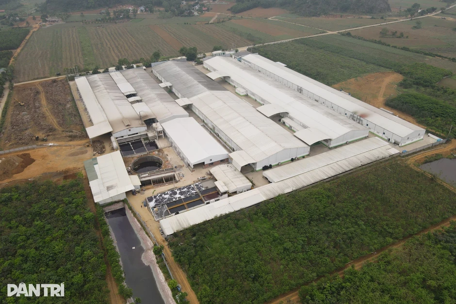 Vụ nước giếng khoan đổi màu tím: Nhà máy giặt là bị tạm dừng hoạt động Vụ nước giếng khoan đổi màu tím: Nhà máy giặt là bị tạm dừng hoạt động