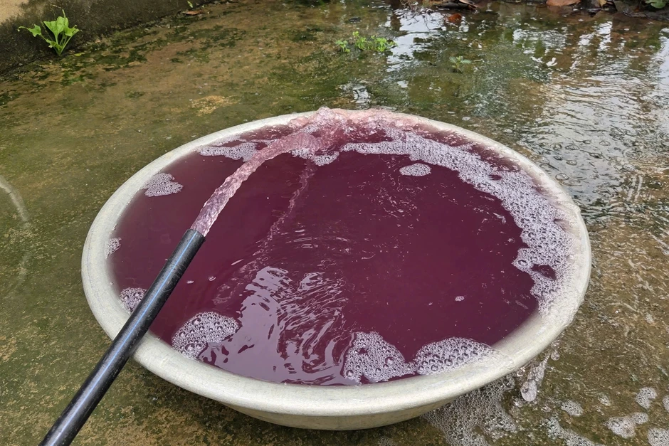 Vụ nước giếng khoan đổi màu tím: Nhà máy giặt là bị tạm dừng hoạt động Vụ nước giếng khoan đổi màu tím: Nhà máy giặt là bị tạm dừng hoạt động