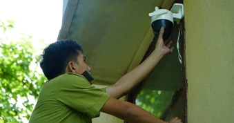 Vụ thu giữ 122 cây muội hồng: Nhiều cây chết khô, lắp camera chống trộm