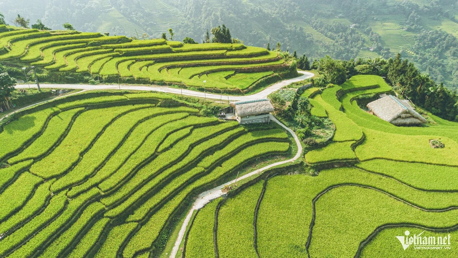 Xà Phìn - Ngôi làng phủ kín rêu xanh như trong chuyện cổ tích Xà Phìn - Ngôi làng phủ kín rêu xanh như trong chuyện cổ tích
