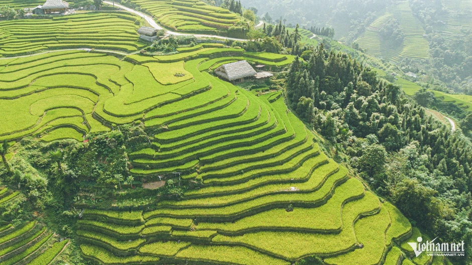 Xà Phìn - Ngôi làng phủ kín rêu xanh như trong chuyện cổ tích Xà Phìn - Ngôi làng phủ kín rêu xanh như trong chuyện cổ tích