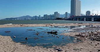 Xác định nguyên nhân dòng nước đen ngòm chảy ra bãi biển Bắc Nha Trang