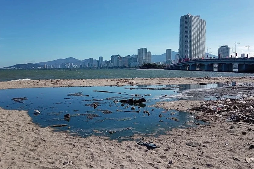 Xác định nguyên nhân dòng nước đen ngòm chảy ra bãi biển Bắc Nha Trang