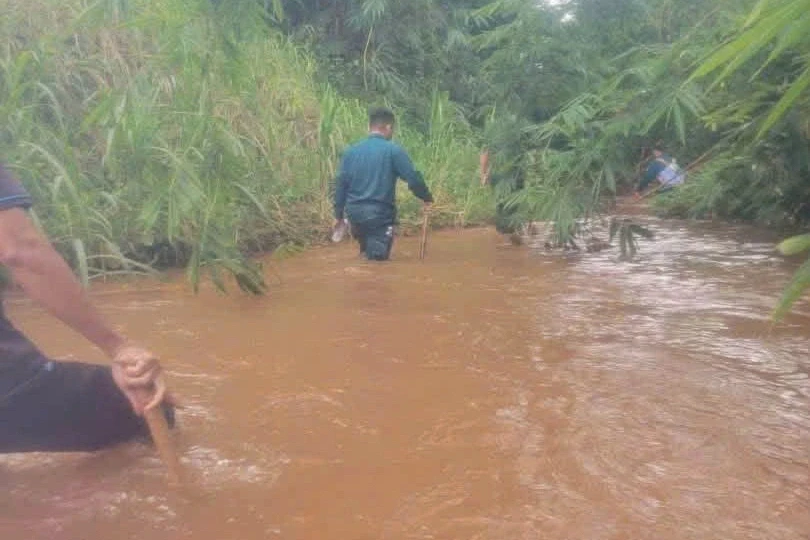 Xác minh cá sấu xuất hiện dưới suối ở Đồng Nai Xác minh cá sấu xuất hiện dưới suối ở Đồng Nai