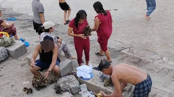 Xác minh nhóm du khách bẻ san hô ở biển Nha Trang