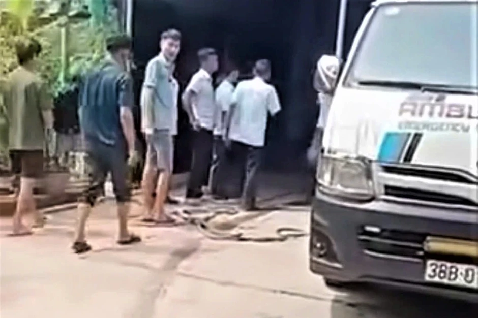 Xác minh thông tin chó nuôi xổng chuồng cắn chủ tử vong Xác minh thông tin chó nuôi xổng chuồng cắn chủ tử vong